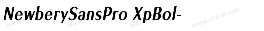 NewberySansPro XpBol字体转换 NewberySansPro XpBol字体转换